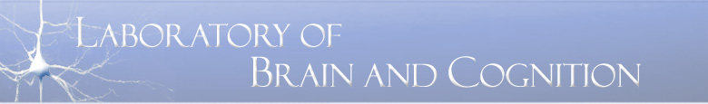 Laboratory of Brain and Cognition Banner